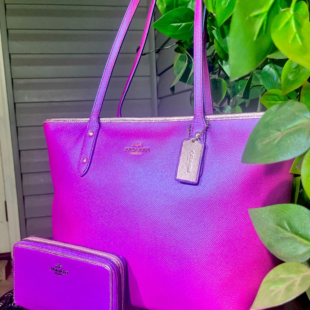 IRIDESCENT Fushia & MIRRORED Mauve Leather Large Coach Purse & Wallet